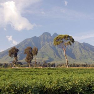 Rwanda Volcanic Mountains in Virunga